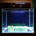 Akvariumo LED šviestuvas "Nuostabi šviesa"
