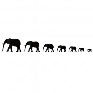 Veidrodiniai lipdukai "Septyni drambliai" (25 x 15 cm)