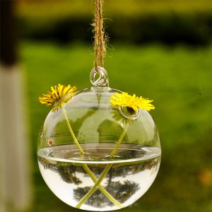 Dekoratyvinis pakabinamas vazonas "Burbulas dviem gėlėm"