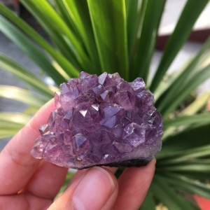 Natūralus mineralas "Svajonė 4" (ametisto kristalas, 42