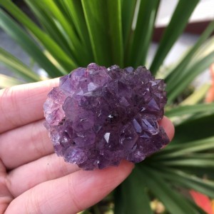 Natūralus mineralas "Svajonė 4" (ametisto kristalas, 42