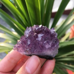 Natūralus mineralas "Svajonė 4" (ametisto kristalas, 42