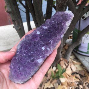 Natūralus mineralas "Nuostabiausias" (ametisto kristalas, 171 g)