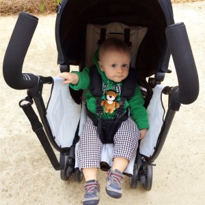 Saugos diržo apsauga "Mielasis liūtukas"