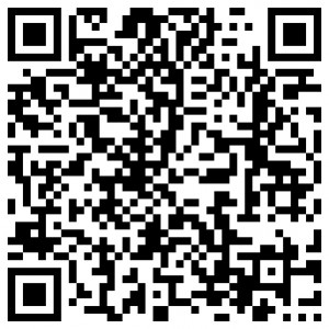 Mini kamera "Agentas 009" (Wireless, 720P)