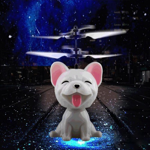 Skraidantis žaislas "Puikusis šuniukas"