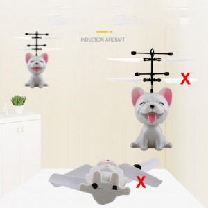 Skraidantis žaislas "Puikusis šuniukas"