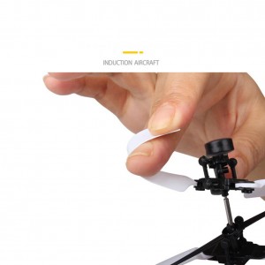 Skraidantis žaislas "Puikusis šuniukas"