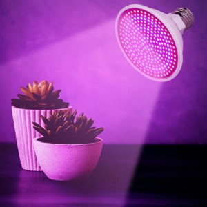 260 LED lemputė augalams "Puikioji šviesa 9"