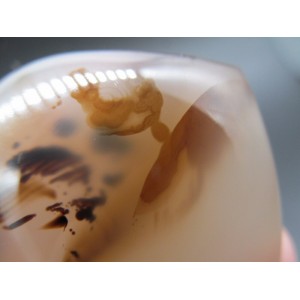 Figūrėlė "Nuostabioji širdelė 12"