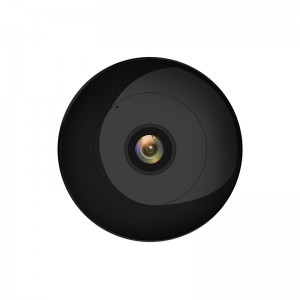 Bevielė IP stebėjimo kamera "Smart Vision Pro DV"