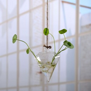 Pakabinama stiklinė vaza "Puikioji švytuoklė" (10 x 14 cm)