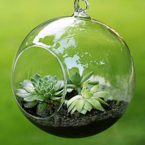 Pakabinama stiklinė vaza "Puikusis burbulas 3" (15 x 15 cm)