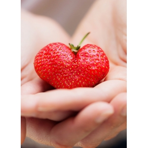 Vaisių formavimo forma "Tikras grožis. Širdelė"