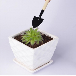 Daržo įrankių rinkinys "Profesionalas"