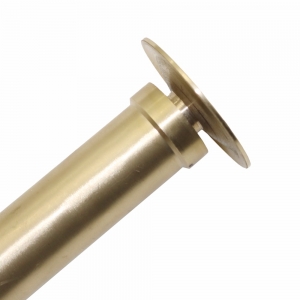 Fontanas "Auksnis grybas"