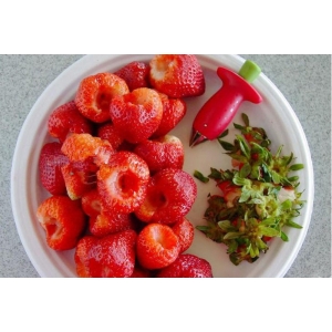 Braškių kotelių kirptuvėlis "Patogiau nebūna"