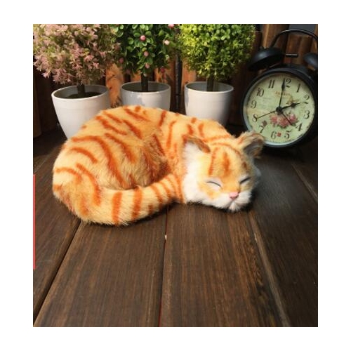 161