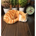 161