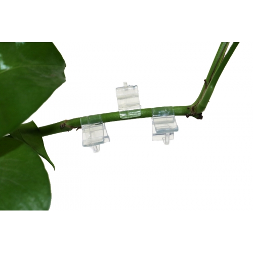 Augalų šakelių laikiklis "Aukščiausia kokybė" (40 vnt.)