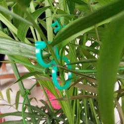 Augalų ir gėlių šakelių laikiklis "Aukščiausia kokybė" (10 vnt.)