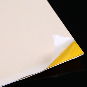 Pakabinama vabzdžių gaudyklė "Paprastas sprendimas"