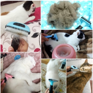 Kačių šukavimo šepetys "Aukščiausia klasė"