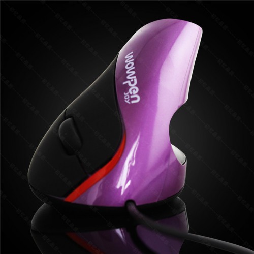 Vertikalaus valdymo kompiuterio pelė