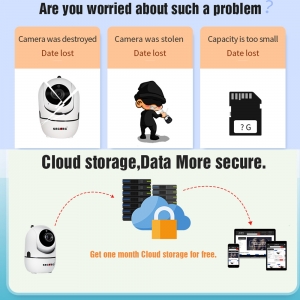 Stebėjimo IP kamera "Erelio akis" (720P, Wifi, Wireless, naktinio matymo, 36 LED)