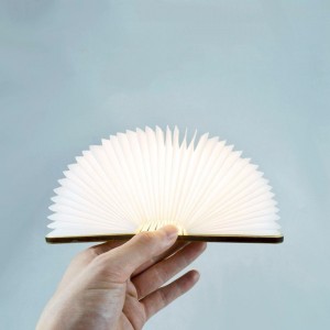Pastatoma LED lempa "Šviečianti knyga 2"