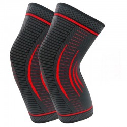 Kelių apsaugos "Profesionalas 2" (1 pora)