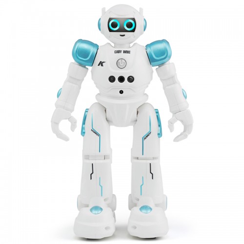 Vaikštantis ir šokantis robotas "Protinguolis 4"