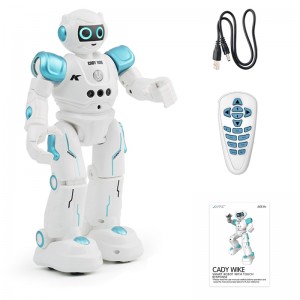 Vaikštantis ir šokantis robotas "Protinguolis 4"