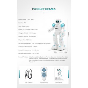 Vaikštantis ir šokantis robotas "Protinguolis 4"