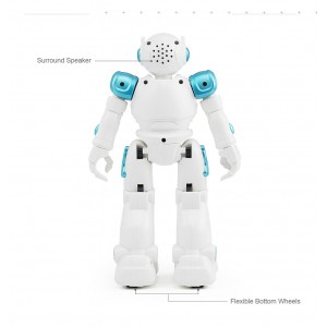 Vaikštantis ir šokantis robotas "Protinguolis 4"