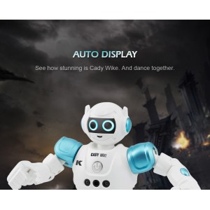Vaikštantis ir šokantis robotas "Protinguolis 4"
