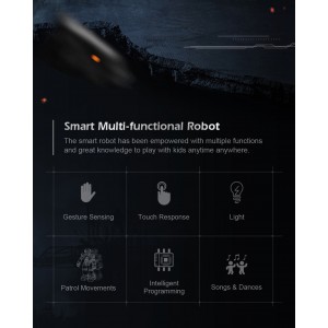 Vaikštantis ir šokantis robotas "Protinguolis 4"