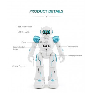 Vaikštantis ir šokantis robotas "Protinguolis 4"
