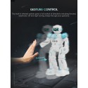 Vaikštantis ir šokantis robotas "Protinguolis 4"