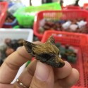 Pakabuko figūrėlė "Rudoji vilko galva 6"