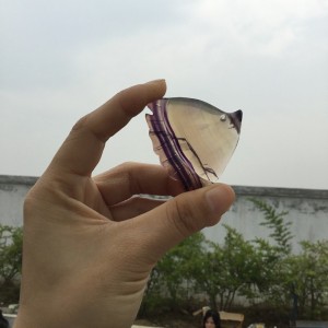 Figūrėlė iš kristalo "Nuostabioji žuvelė" (floritas)