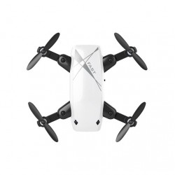 Nuotolinio valdymo skraidyklė "Greitasis skraiduolis"