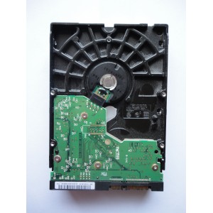Kietasis diskas - Western Digital - 250 GB - WD2500KS
