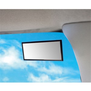 Veidrodėlis automobiliui "Tikras smagumėlis" (12 cm x 5 cm)