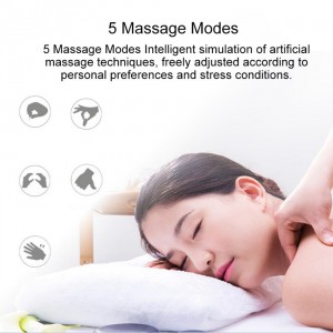 Dagiagalimybinis masažuoklis "Rezultatai"