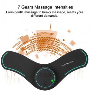 Dagiagalimybinis masažuoklis "Rezultatai"