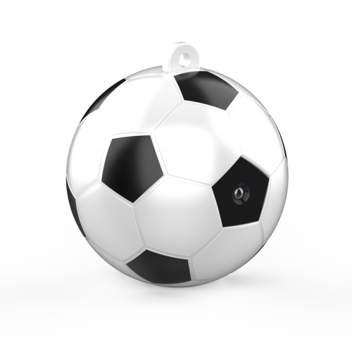 Slapta kamera "Budrusis kamuolys"