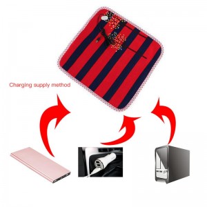 Šildantis kilimėlis augintiniui "Aukščiausia klasė 2" (45 x 45 cm, USB)