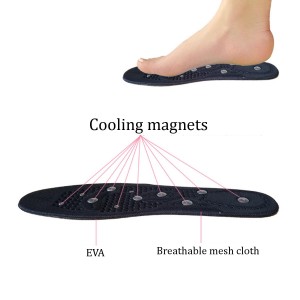 Masažuojnantys vidiniai padai "Aukščiausia klasė 2" (magnetiniai)