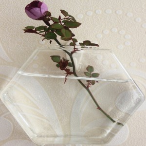 Pakabinama stiklinė vaza "Stiliaus elegancija"